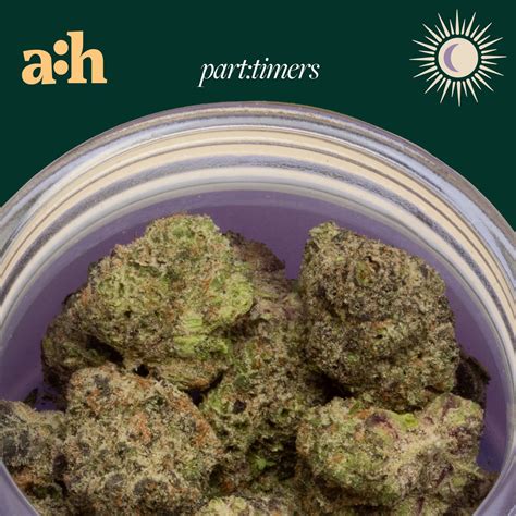 Shop all:hours - Hash Burger (I) part:timers Flower C0040001390 | Fine ...