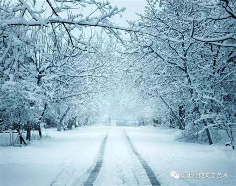 朗诵艺术家 磊明 朗诵《雪落在中国的土地上》作者：艾青
