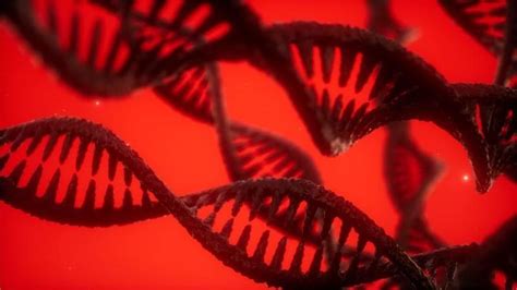 Image result for Reading DNA Animation