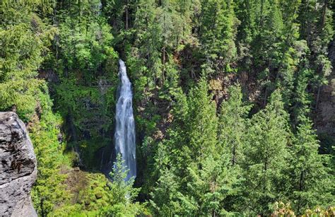 Prospect Oregon Map 的图像结果