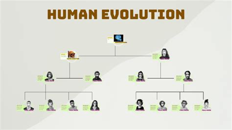 Evolution Family Tree 的图像结果