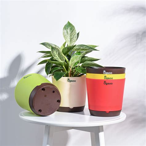 Buy Premium Pots for Plants at Best Prices | Ugaoo