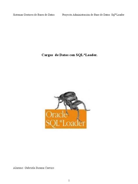 Image result for Como Usar Oracle SQL Loader