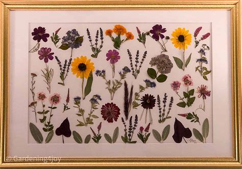 How to Create Pressed Flower Art – Summer Garden - Gardening4Joy