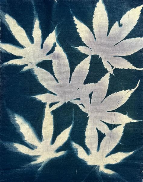 How to Cyanotype on Fabric with Tips and Project Ideas - Create Whimsy