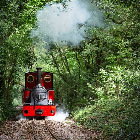 PERRYGROVE RAILWAY ADVENTURE (2026) All You Need to Know BEFORE You Go ...