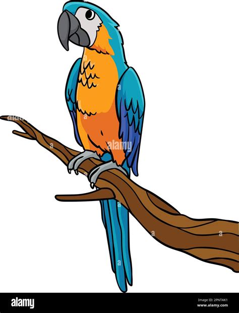 Parrot Cartoon Colored Clipart Illustration Stock Vector Image & Art ...