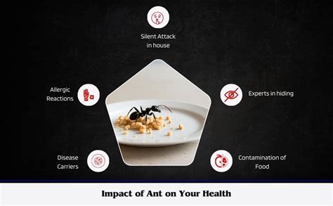 Amish Herbal Ant Gel injection | 10 Min Max Bait Formula | Powerful ...