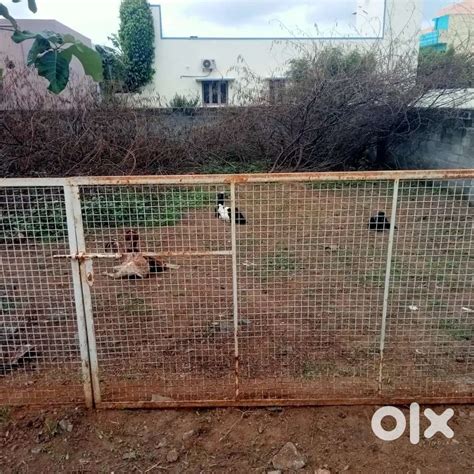 Residential plot sale in Vellore at Virupatchipuram. - Lands & Plots ...