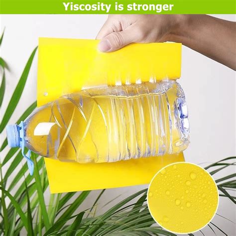 Buy Cheechee 40-Pack Fruit Fly Trap, Yellow Sticky Traps for Gnats ...