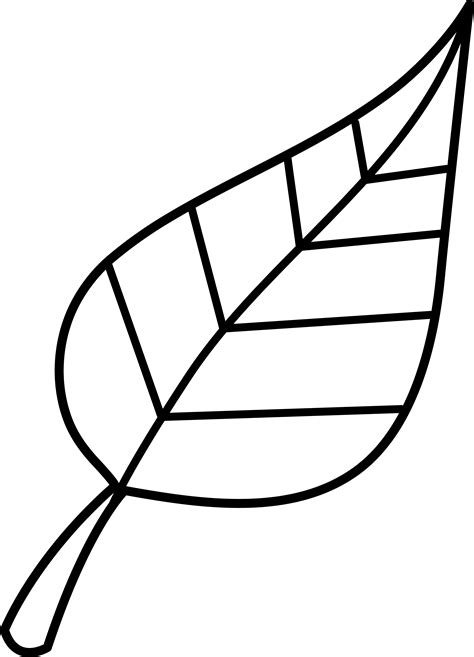 Leaf outline fall leaves outline clipart 3 - WikiClipArt