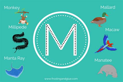 Animals That Start With M List at Janet Wall blog