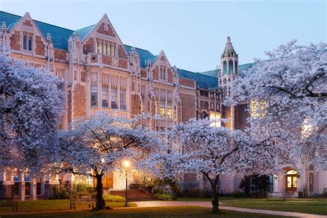 Seattle Photography for Sale | A NEW BEGINNING | UW Cherry Blossoms ...