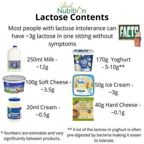 Does Yogurt Contain Lactose