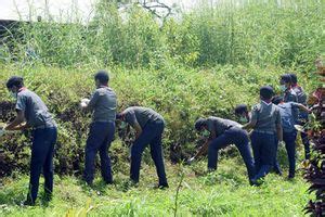 കടമ്പൂർ എച്ച് എസ് എസ്/സ്കൗട്ട്&ഗൈഡ്സ്-17 - Schoolwiki
