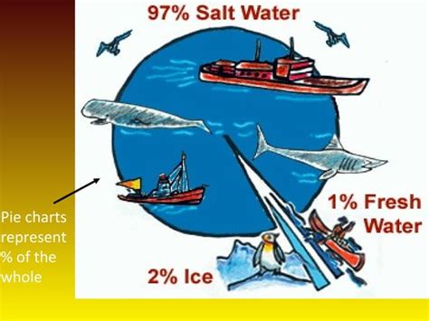 Basic Components of the Environment 的图像结果
