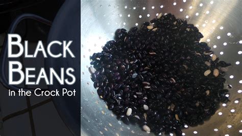 How Long To Cook Canned Black Beans In Crock Pot at Daniel Gilmore blog