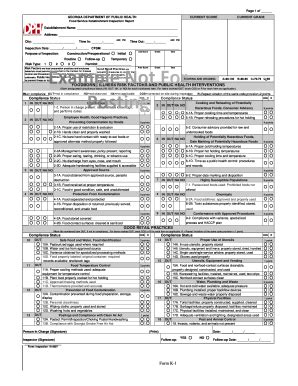 K-1 Food Service Inspection Form - Georgia Department Of Public ...