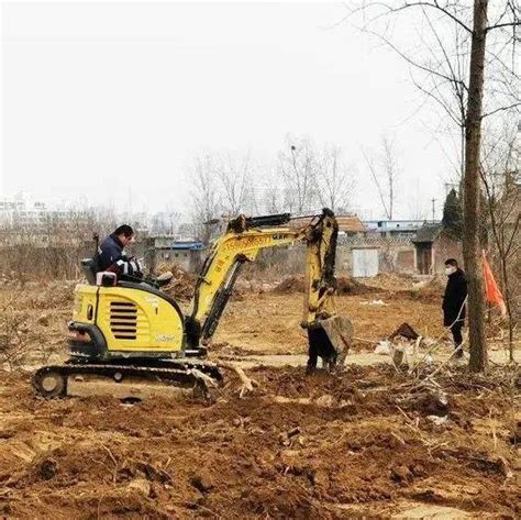 山东菏泽用活绿色资源打造千亿级林木加工产业-中国木业网