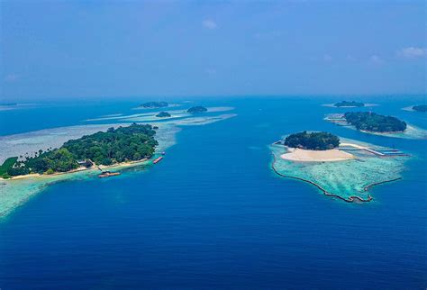 Image result for Java Sea Indonesia
