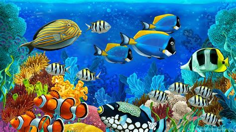 Aquatic Animals Wallpapers - Wallpaper Cave