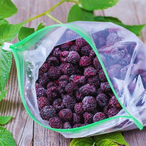 Pontiac RV - Illinois Largest RV Dealer