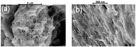 Femtosecond Er-Doped All-Fiber Laser with High-Density Well-Aligned ...