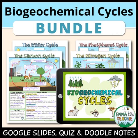 Biogeochemical Cycles Doodle Notes - Emmatheteachie