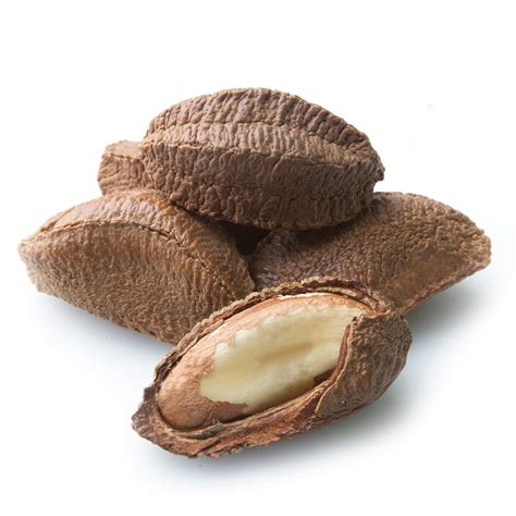 Brazil Nuts In Shell - Oh! Nuts