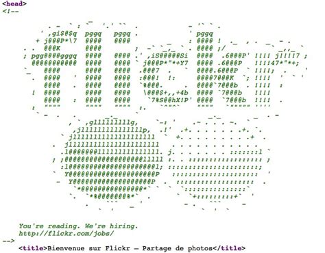 Flickr html source code - Open Time