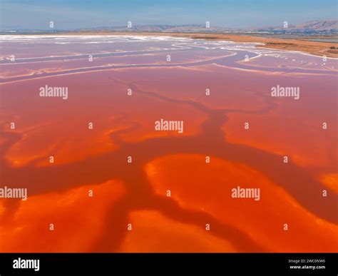 Pink salt ponds at Alviso Marina County Park Stock Photo - Alamy