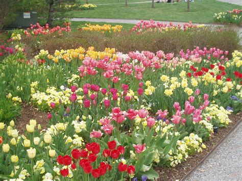 Tulip Festival at Thanksgiving Point | Tulip festival, Flower garden ...