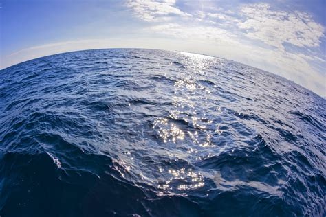 These Stylish, Inexpensive Basics Make Your Outfits Look Way Cooler ...