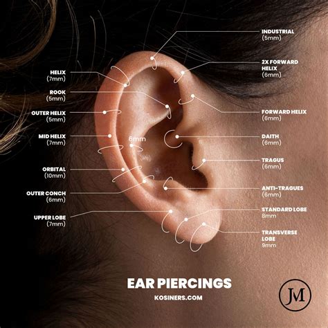 Ear piercing guide – Artofit