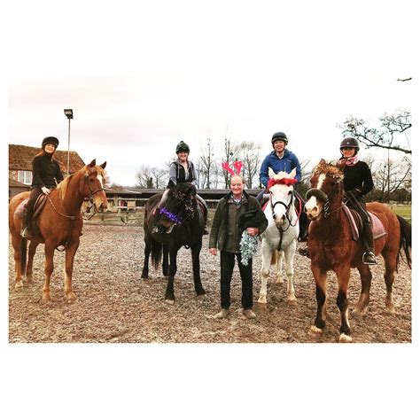 MILL HOUSE EQUESTRIAN CENTRE (2026) All You Need to Know BEFORE You Go ...