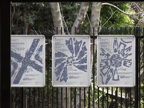 Graphic Design & Branding | Kyiv Academy of Media Arts