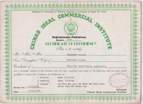 Diploma in Computer Programming 的图像结果