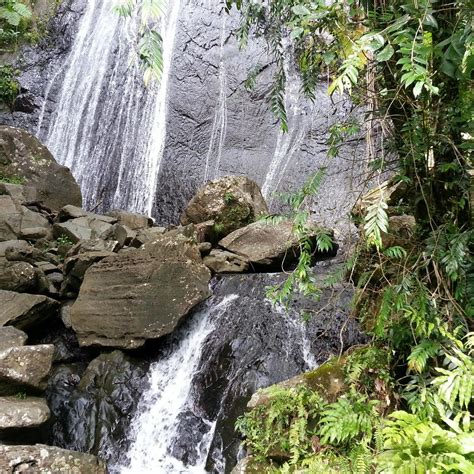 Catarata La Coca (El Yunque National Forest) - All You Need to Know ...