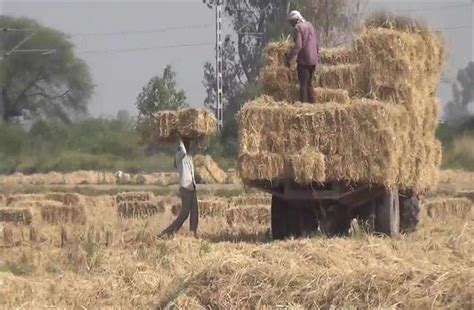 किसानों के पास पराली के रूप में है खजाना, जानें कैसे - farmers have ...