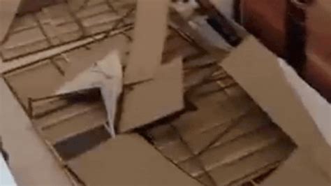 Hoarding collapses inside Hyderabad’s Lakeshore Mall; 2 injured