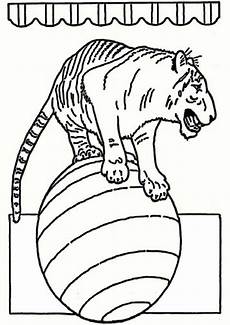 zirkus ausmalbilder drucken ausmallbilder zirkus 6 ausmalbilder malvorlagen zirkus ausmalbilder drucken ausmallbilder zirkus 6 ausmalbilder malvorlagen