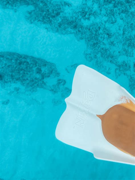 Swimming in Sea 的图像结果