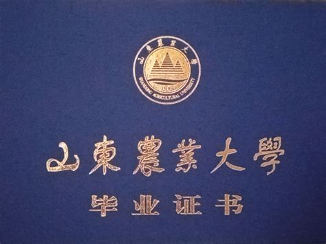山东农业大学毕业证书-泰安市泰山职业培训学校