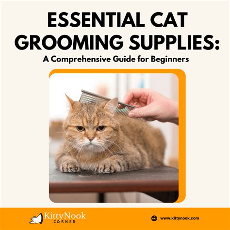 Essential Cat Grooming Supplies: A Comprehensive Guide for Beginners ...