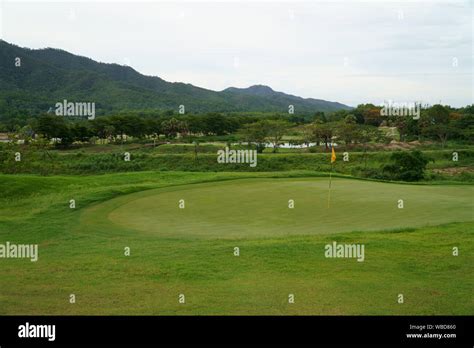 Golf Court 的图像结果