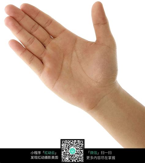 伸手手势图片素材图片免费下载_红动中国