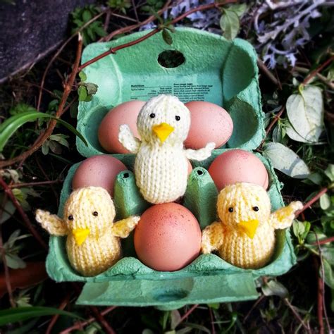 Image result for Easter Chick Patterns