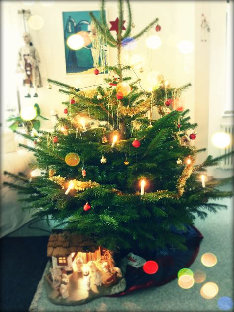 German Christmas Tree Tradition at James Glassop blog