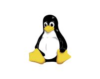 Best Website Development Company In Bangalore- Web Design Services