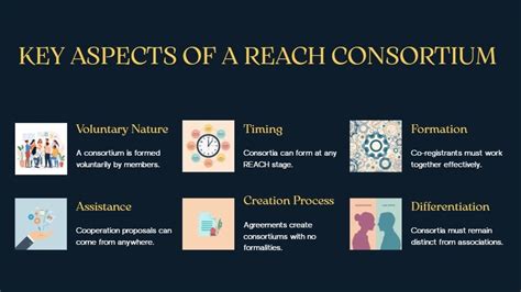 REACH Consortium: General Definition and Key Principles